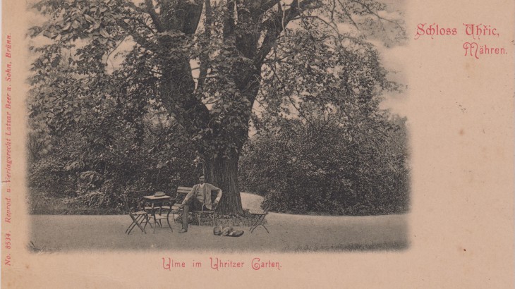 Jilm v zahradě (1892)